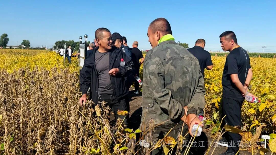 1757747583755422.jpg 5.jpg